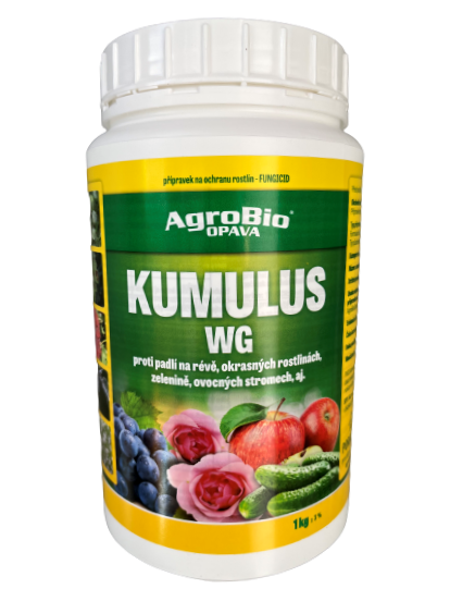 Postrik Kumulus () Postrik Kumulus