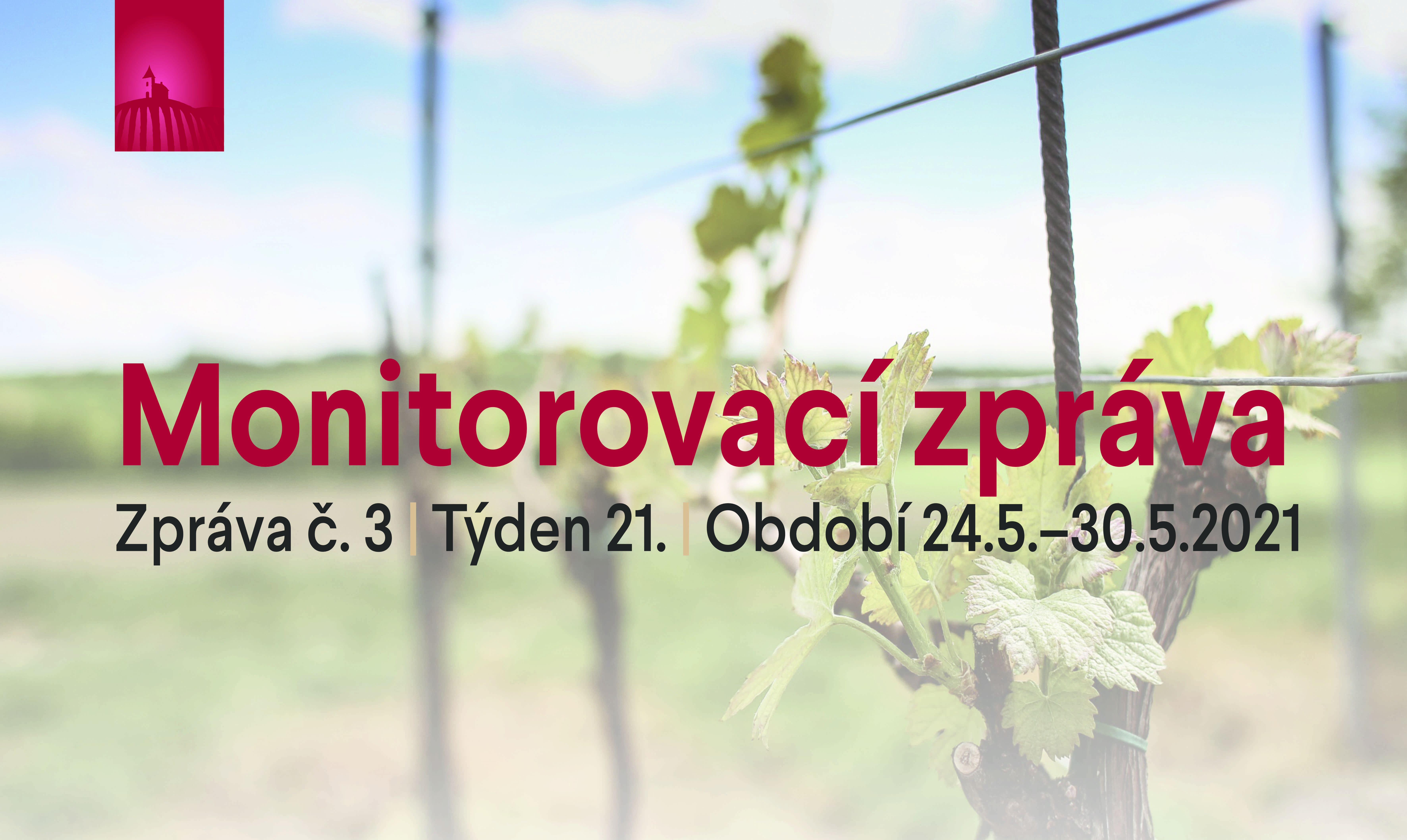 3. monitorovací zpráva 2021