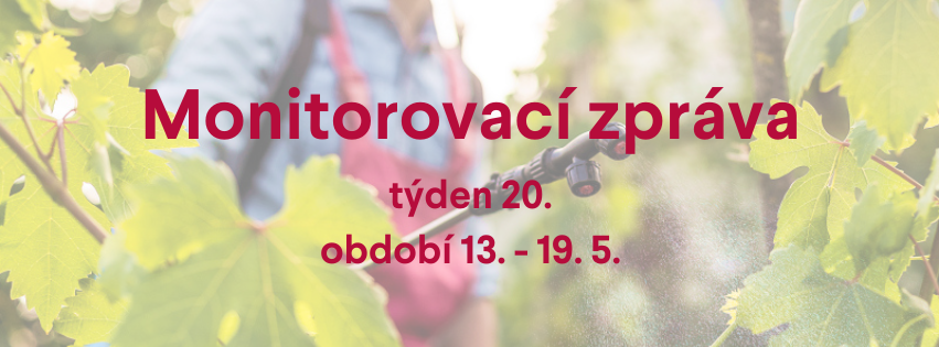 Monitorovací zpráva pro období 13. - 19. 5.
