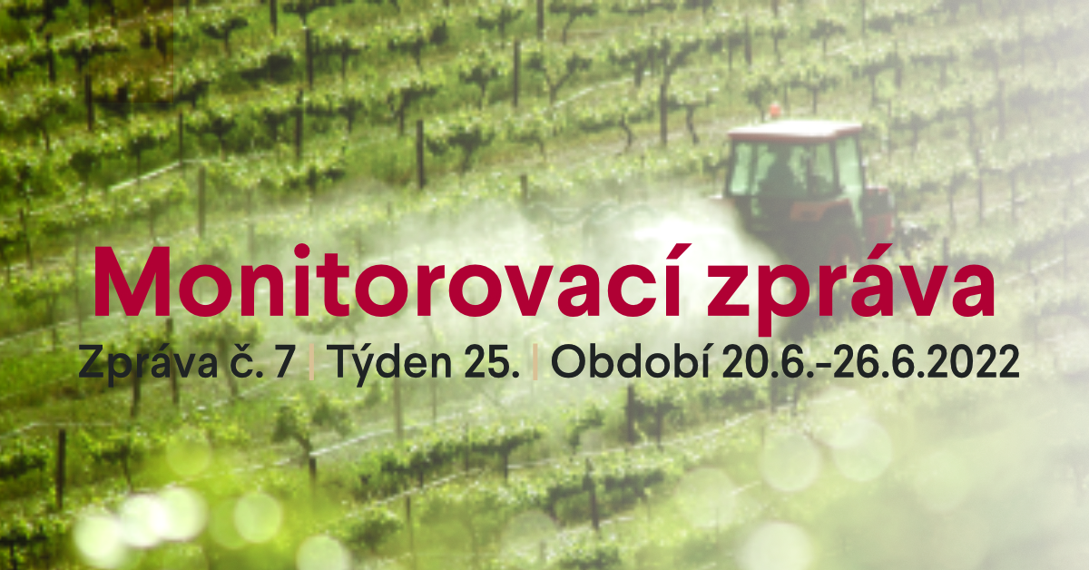 7. monitorovací zpráva 2022