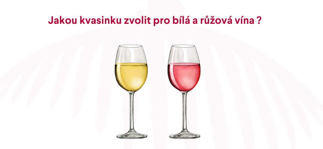 Jak správně vybrat kvasinky