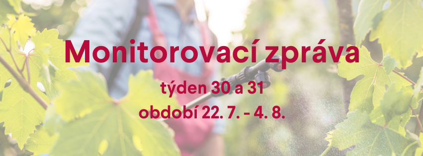 Monitorovací zpráva pro období 22. 7. - 4. 8.