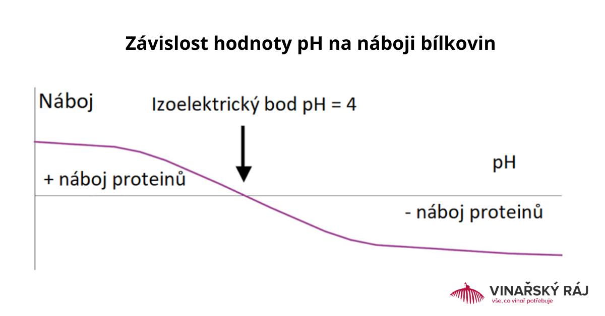 Zavislost-hodnoty-pH-na-naboji-bilkovin.png