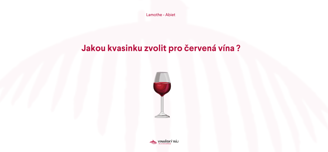 Tajemství červených vín: Kvasinky Excellence a jejich vliv na chuť a aroma