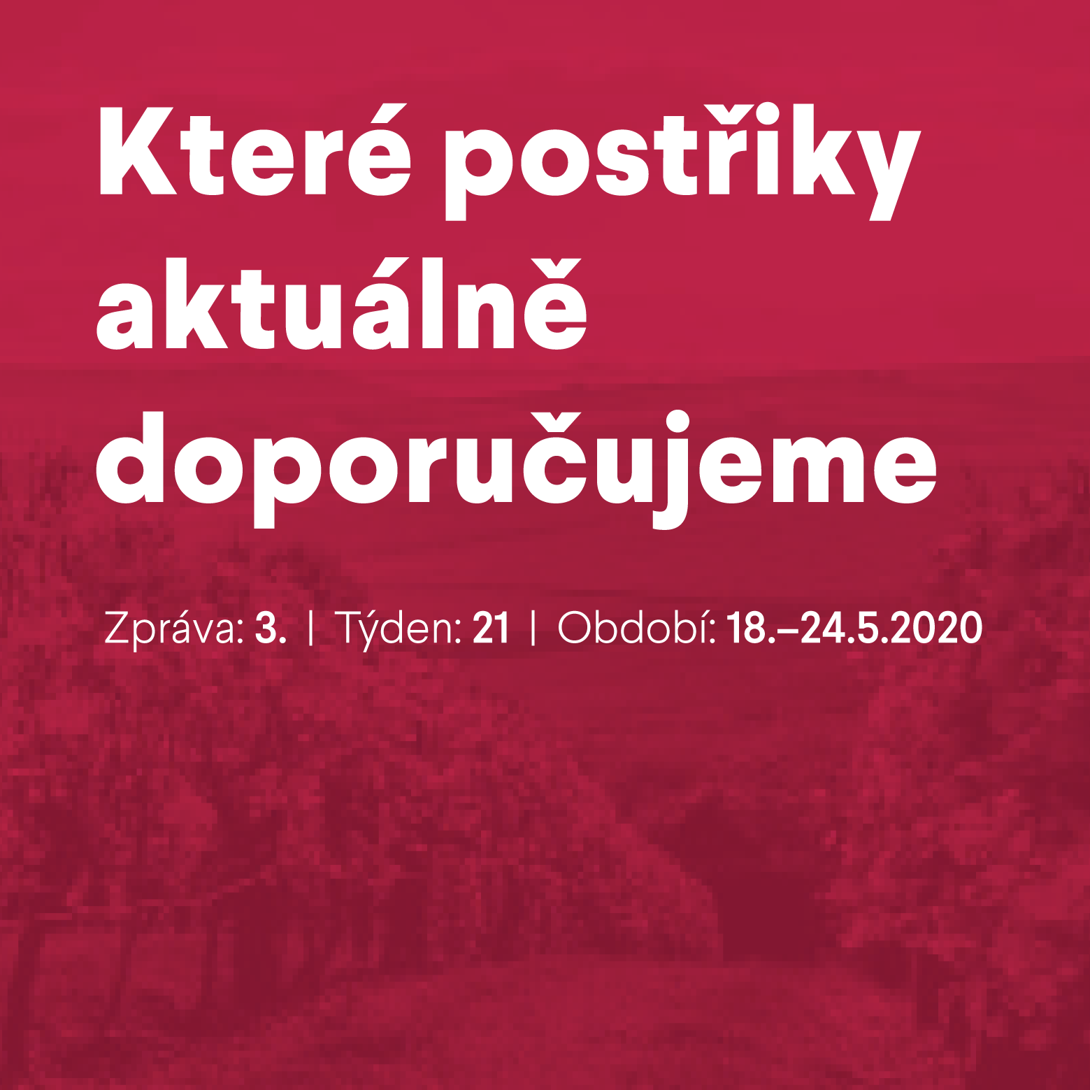 Co vás čeká ve vinici? Monitorovací zpráva č. 3 pro období 18. – 24. května