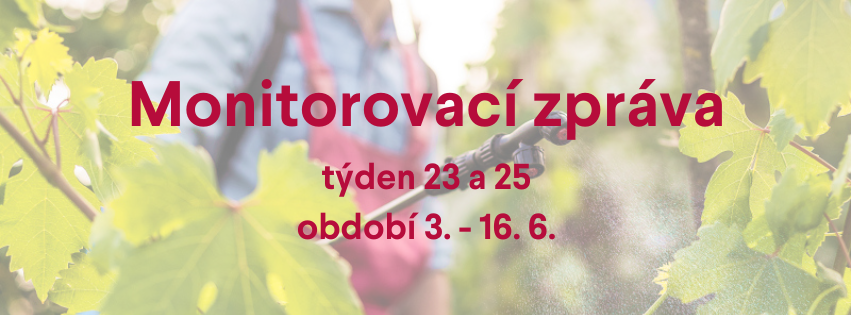 Monitorovací zpráva pro období 3. - 16. 6.