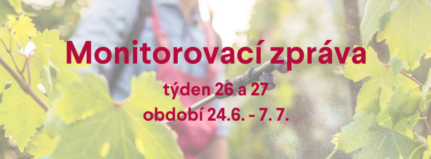 Monitorovací zpráva pro období 26. 6. - 7. 7.